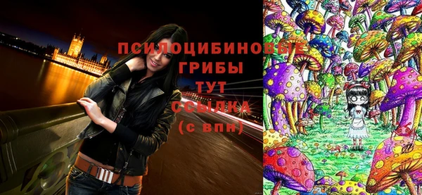 таблы Переславль-Залесский
