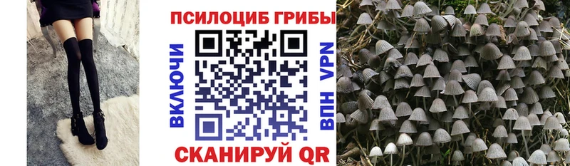 Псилоцибиновые грибы GOLDEN TEACHER  Северобайкальск 
